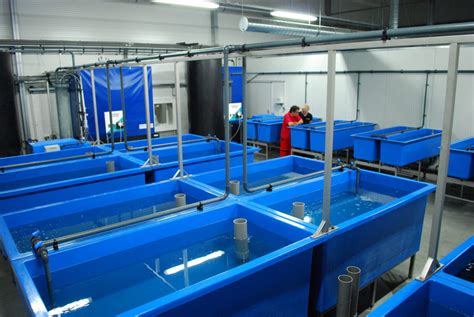 fish hatchery|Fish Hatchery Systems .